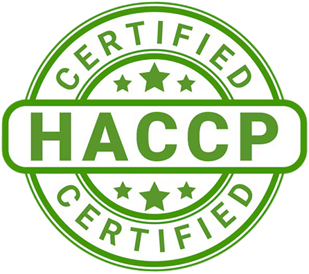 WhatsApp Image 2025-06-25 at 3.10.08 PM 1