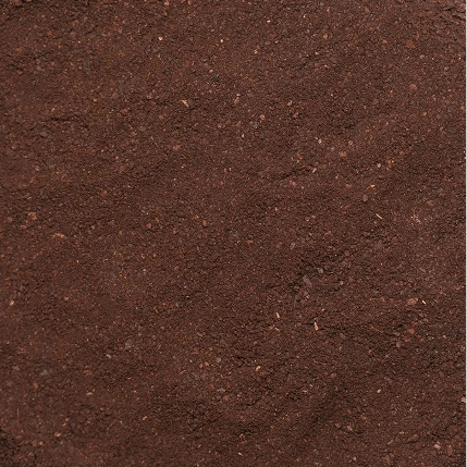 Roasted Chicory Powder Manufacturer in India