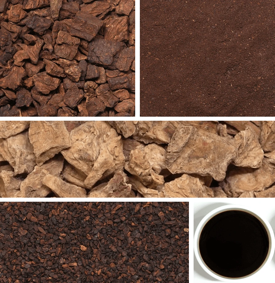 Chicory Manufacturer