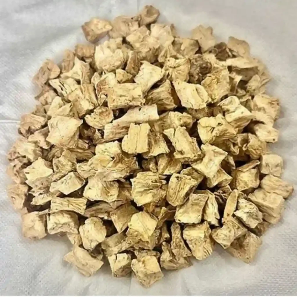 Dried Chicory Cubes Manufacturer & Supplier