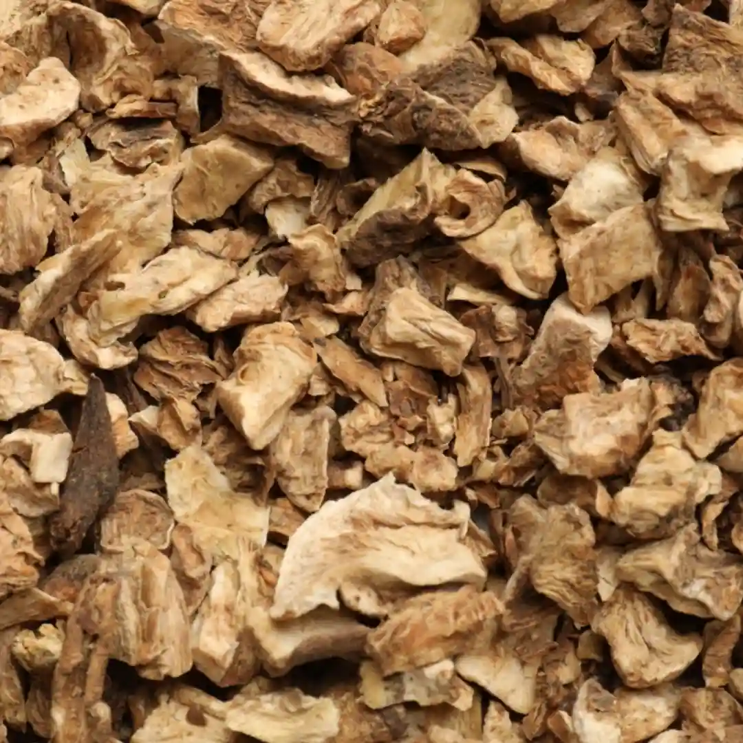 Dried Chicory Roots Manufacturer & Supplier